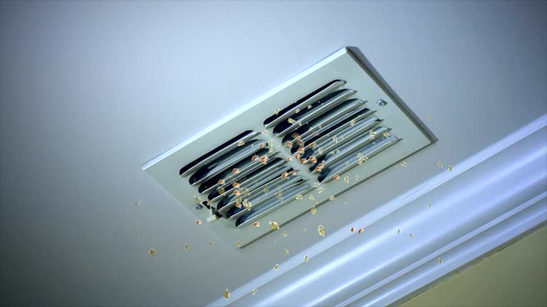 Best HVAC Duct Inspection Services  in Buckner, MO