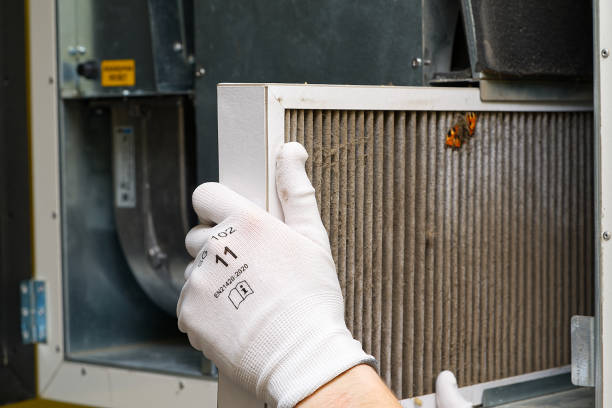 Best Dryer Vent Cleaning Services  in Buckner, MO