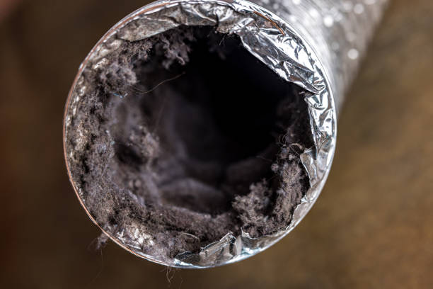 Best HVAC Air Duct Cleaning  in Buckner, MO